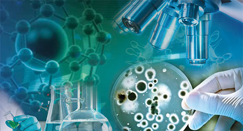 6 Reasons to pursue a Career as Medical Lab Technician
