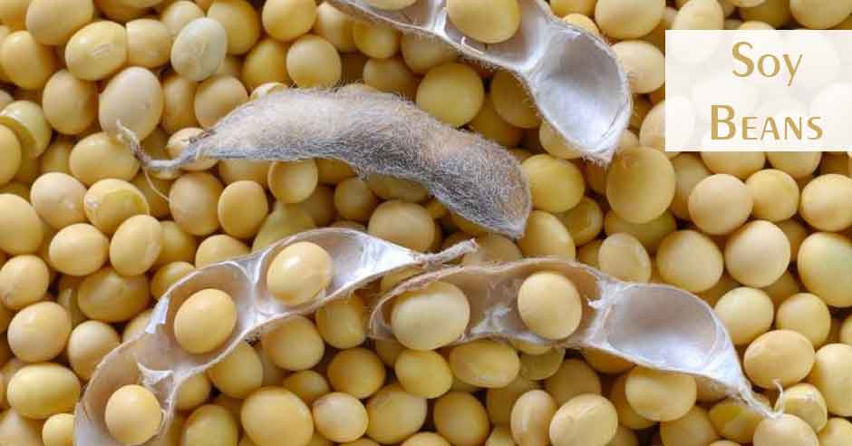 7 Healthiest Beans and Legumes you should be Eating